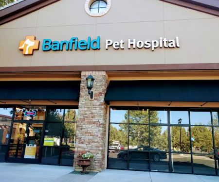 Banfield Pet Hospital