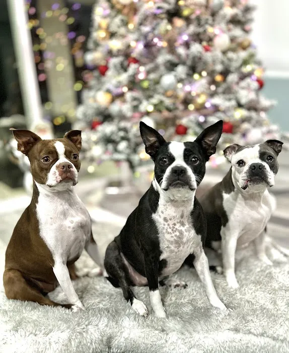 Banfield Pet Hospital Picture 2