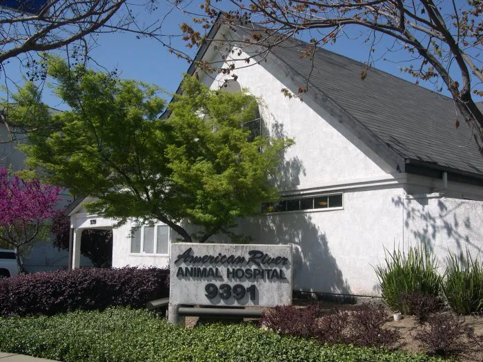VCA American River Animal Hospital Picture 3