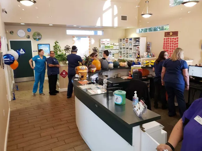 VCA American River Animal Hospital Picture 9