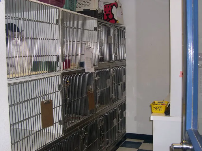 VCA American River Animal Hospital Picture 7