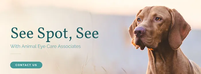 Animal Eye Care Associates Picture 4