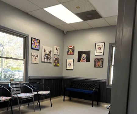 Chesapeake Animal Hospital