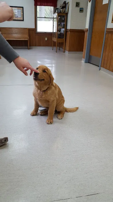 Chesapeake Animal Hospital Picture 7