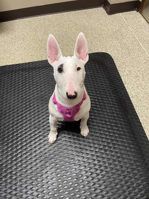 Barker Animal Hospital Picture 2