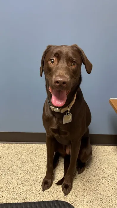Barker Animal Hospital Picture 4