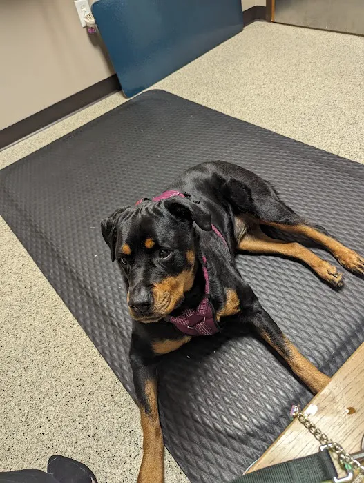 Barker Animal Hospital Picture 7