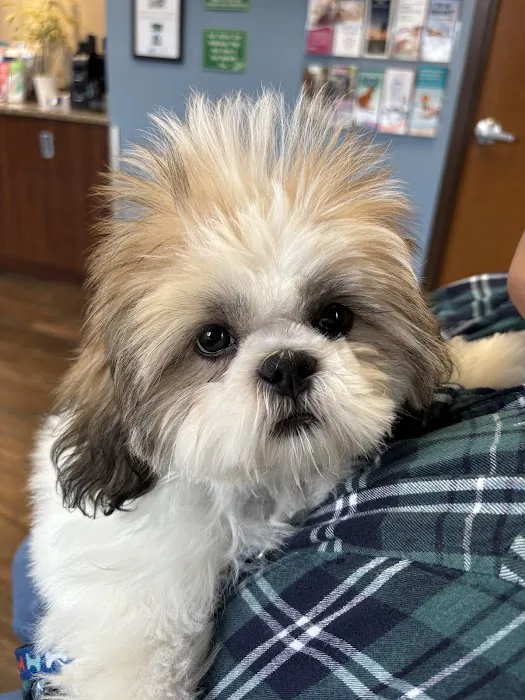 Barker Animal Hospital Picture 8