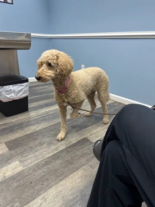 Hampton Roads Veterinary Urgent Care Picture 5