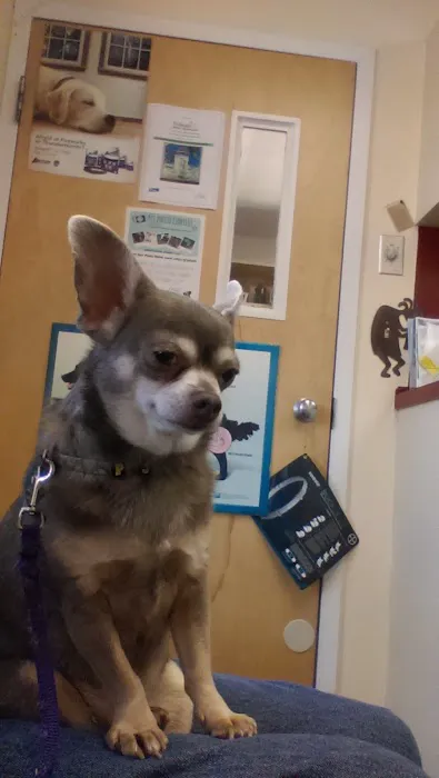VCA Portsmouth Animal Hospital Picture 1