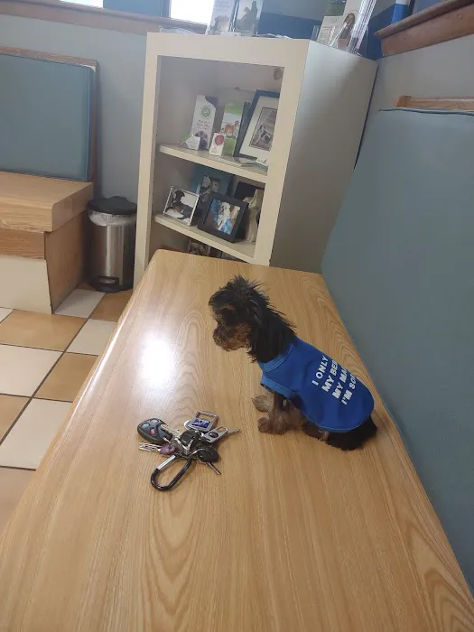 VCA Brentwood Animal Hospital Picture 10