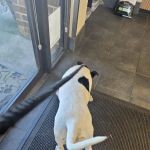 Churchland Animal Clinic