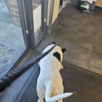 Churchland Animal Clinic ico