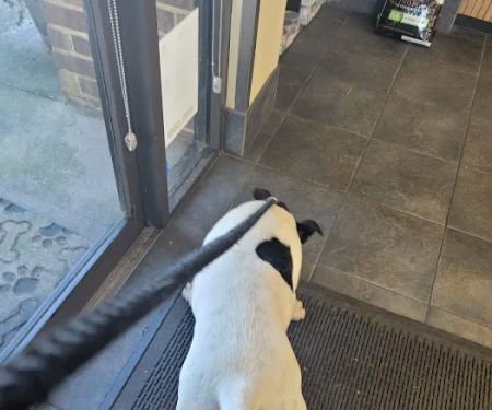 Churchland Animal Clinic