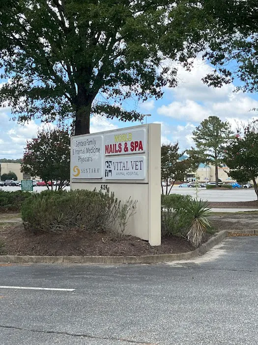 Vital Vet Animal Hospital Picture 2
