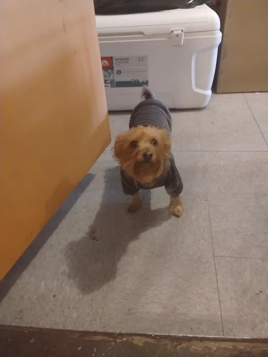 Vital Vet Animal Hospital Picture 10