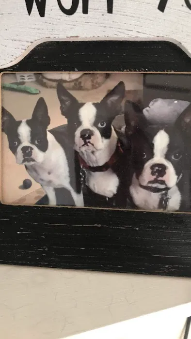 Banfield Pet Hospital Picture 4