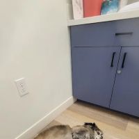 Veterinary Skin & Ear ico