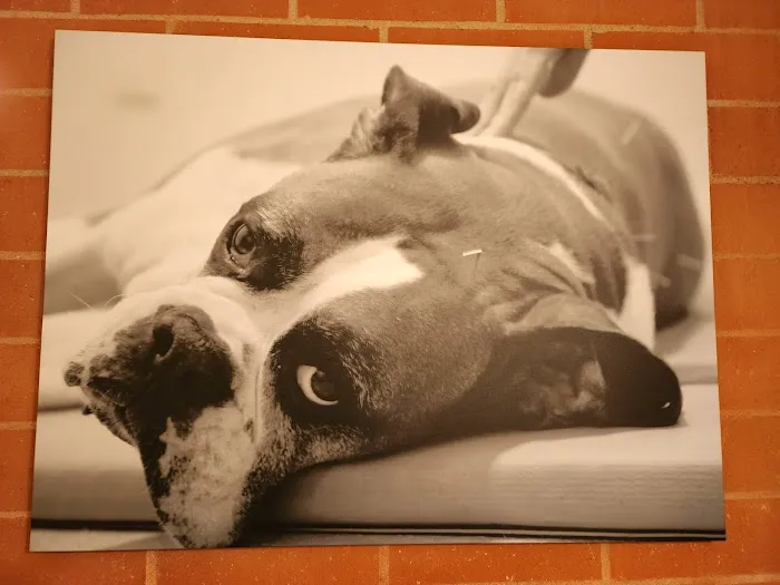 California Animal Rehabilitation Picture 9
