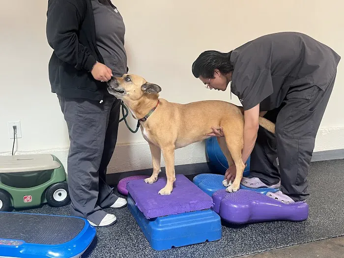 California Animal Rehabilitation Picture 8