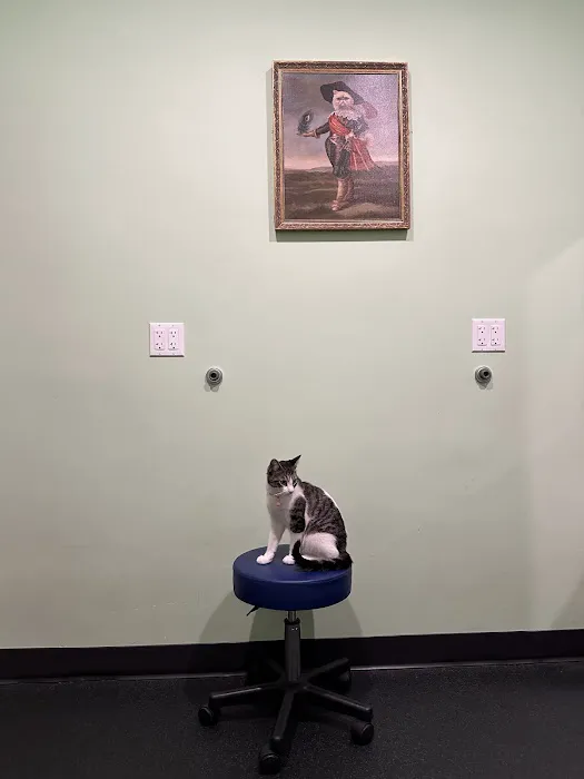 Emerald Animal Hospital Picture 5