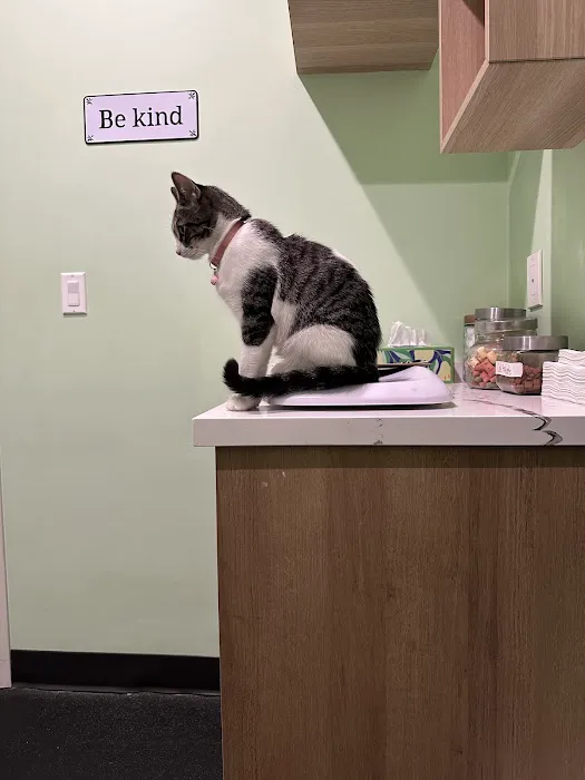 Emerald Animal Hospital Picture 6