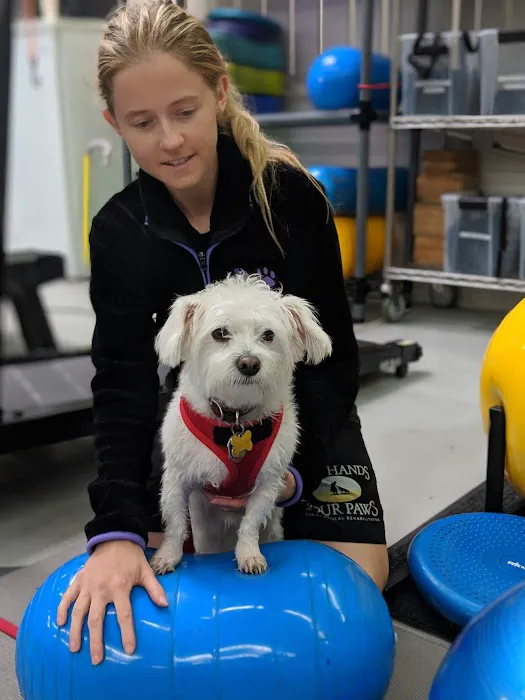 Two Hands Four Paws Picture 2