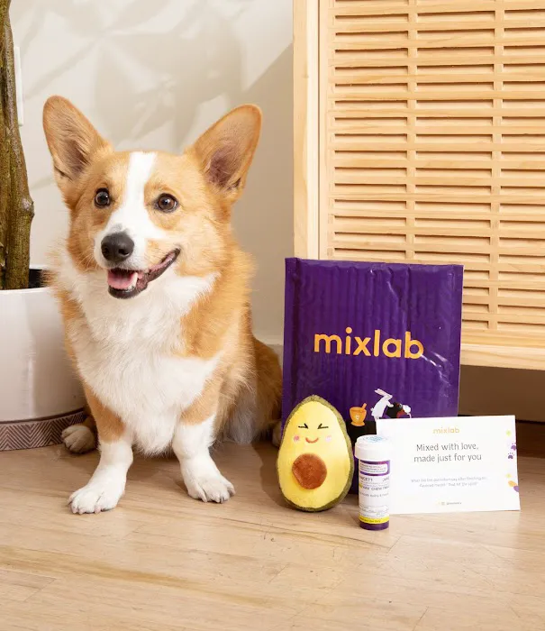 Mixlab Picture 8