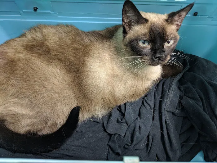 Pacific Animal Clinic Picture 10