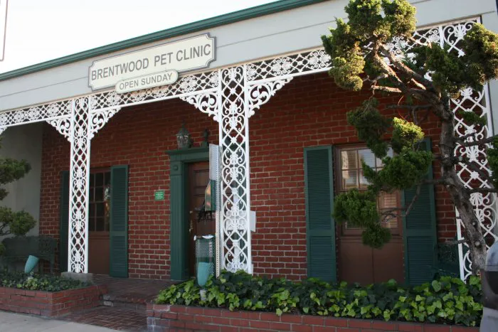 VCA Brentwood Animal Hospital Picture 7