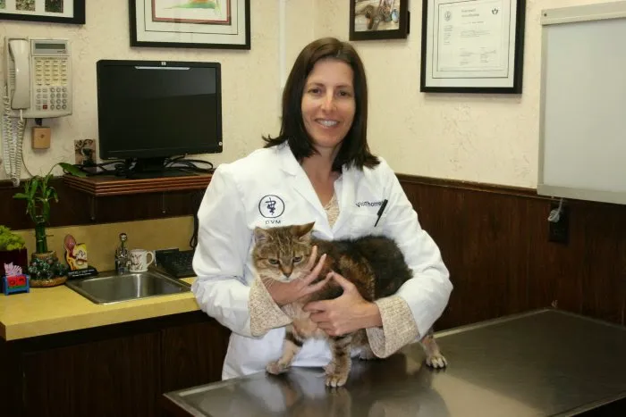 VCA Brentwood Animal Hospital Picture 6