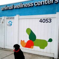 Animal Wellness Centers ico