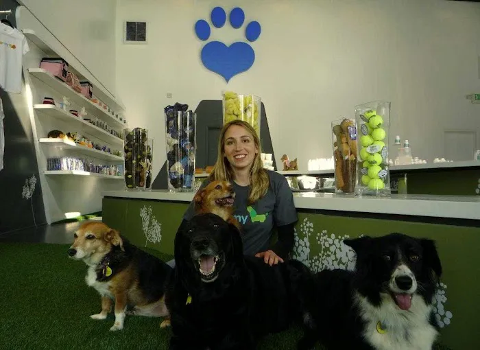 Animal Wellness Centers Picture 6