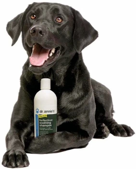 Animal Wellness Centers Picture 5