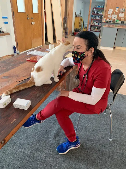 Elite Veterinary Care Picture 6