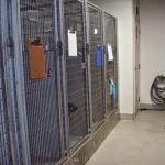 VCA Marina Bay Cities Animal Hospital