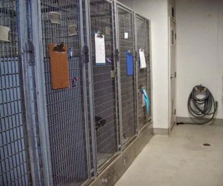 VCA Marina Bay Cities Animal Hospital