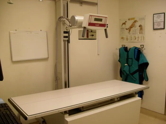 VCA Marina Bay Cities Animal Hospital Picture 9