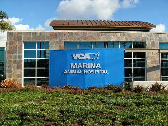 VCA Marina Bay Cities Animal Hospital Picture 2