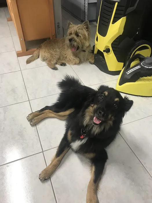 VCA Marina Bay Cities Animal Hospital Picture 8