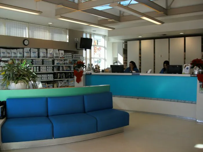 VCA Marina Bay Cities Animal Hospital Picture 6