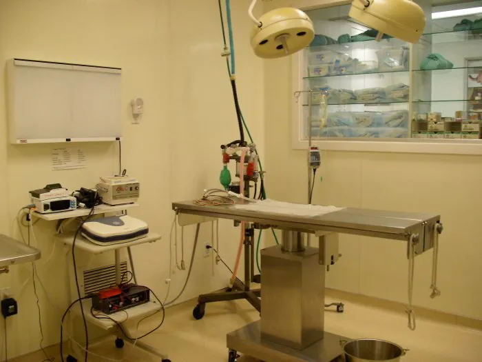VCA Marina Bay Cities Animal Hospital Picture 3