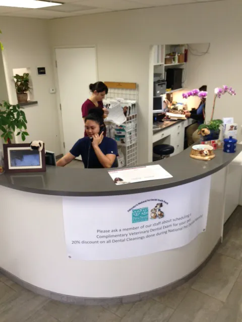 Manhattan Beach Animal Hospital Picture 5