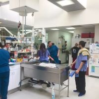 Bay Animal Hospital ico