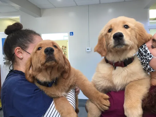 Bay Animal Hospital Picture 6