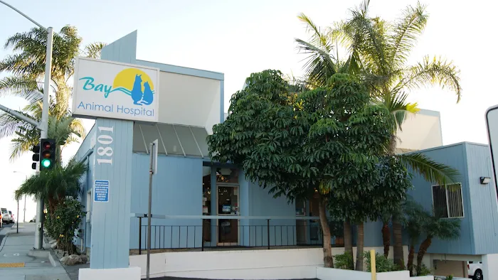 Bay Animal Hospital Picture 8