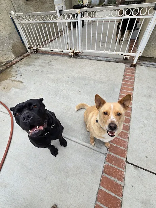 Bay Animal Hospital Picture 9