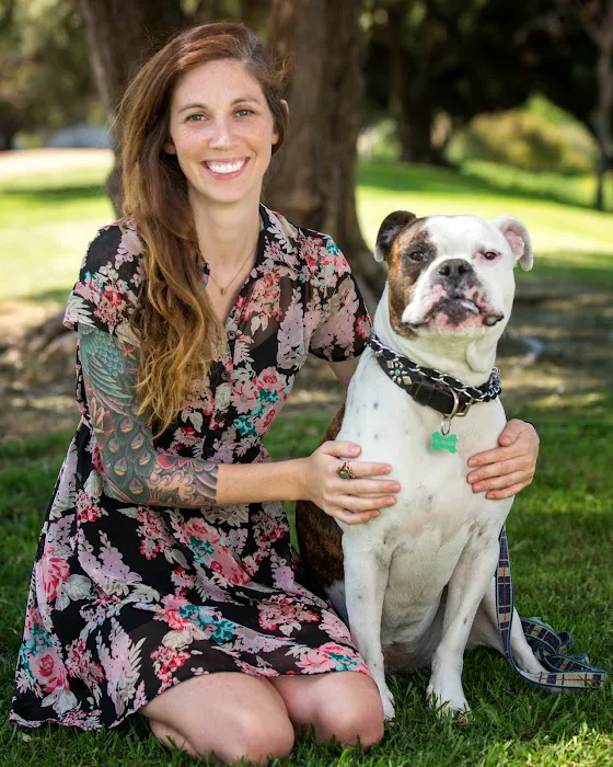 Bay Animal Hospital Picture 2