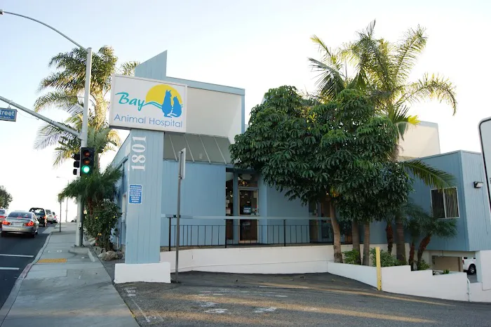 Bay Animal Hospital Picture 3
