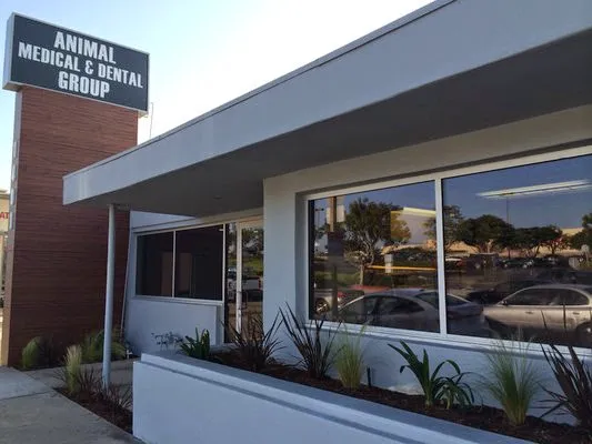 VCA Animal Medical & Dental Group Picture 1